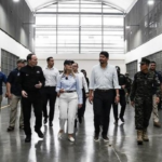 Diputados avalan reforma para permitir cambios de uso de suelo en terrenos forestales